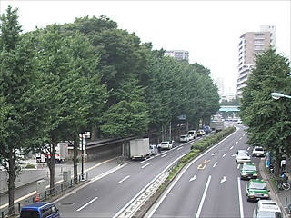 小石川後楽園へ