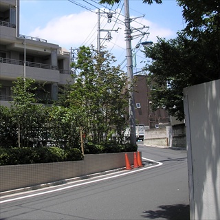 伝通院へ5