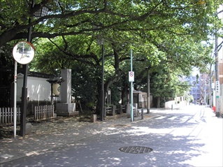 伝通院