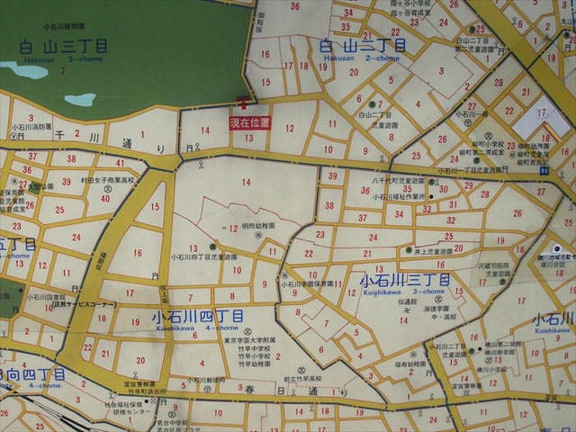 案内版(植物園−伝通院)