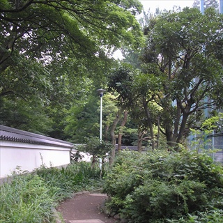小石川後楽園へ